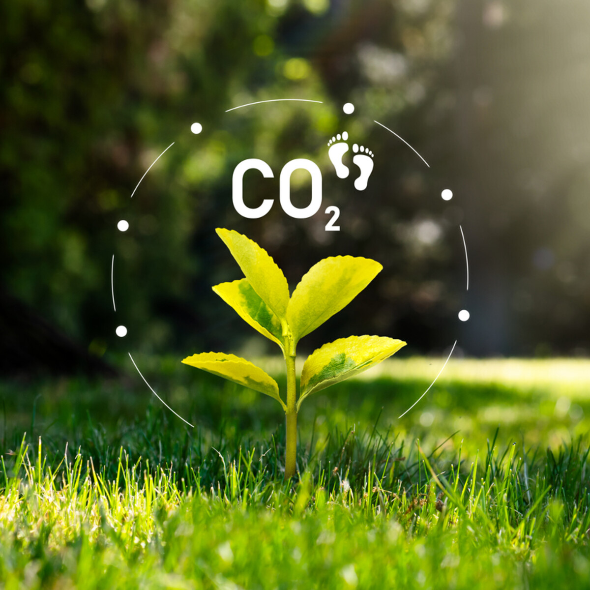 CO2 beleid niveau 5